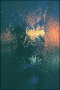 shapeimage_1.png