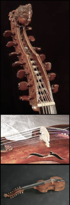 VIOLA DAMORE